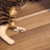 Thumbnail photo of Moldy #3