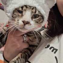 Thumbnail photo of Moldy #4