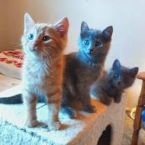 Thumbnail photo of Jersey #1