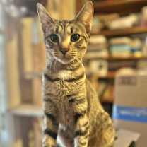 Thumbnail photo of Faye #1