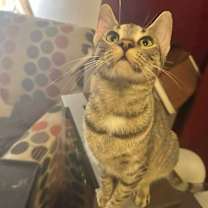 Thumbnail photo of Faye #2