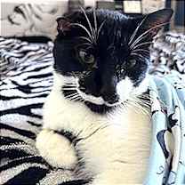 Thumbnail photo of Cliff #1