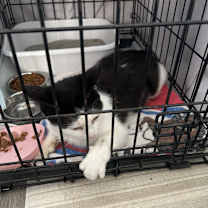 Thumbnail photo of Moe #4