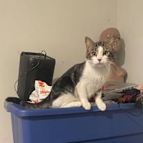 Thumbnail photo of Squishie #4