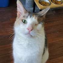 Thumbnail photo of Serena #1