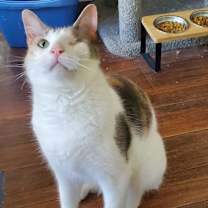 Thumbnail photo of Serena #2