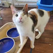 Thumbnail photo of Serena #3