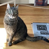 Thumbnail photo of Eddard #2