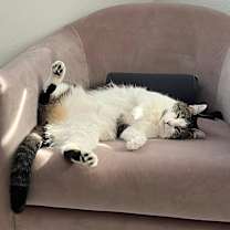 Thumbnail photo of Heidi #2