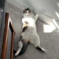 Thumbnail photo of Heidi #3