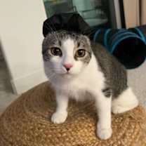 Thumbnail photo of Heidi #4