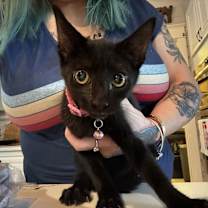 Thumbnail photo of Charity #3