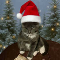 Thumbnail photo of Jingle #1