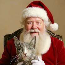 Thumbnail photo of Santy Paws #2