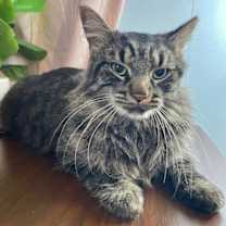 Thumbnail photo of Isle #1