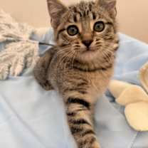 Thumbnail photo of Phoebe B #2