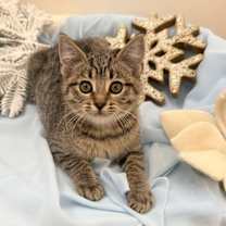 Thumbnail photo of Phoebe B #4