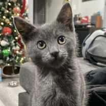 Thumbnail photo of Jasper #1