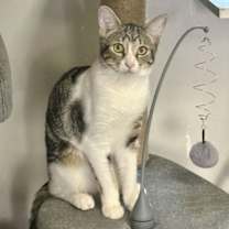 Thumbnail photo of Bebe #1