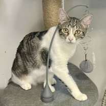 Thumbnail photo of Bebe #2