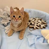 Thumbnail photo of Greg #2