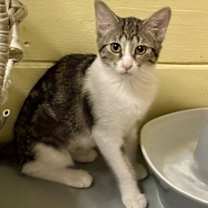 Thumbnail photo of Bebe #4