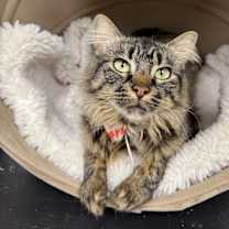 Thumbnail photo of Penelope 5 #1