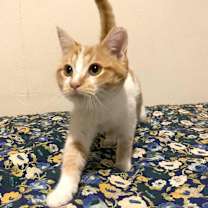 Thumbnail photo of Sylvie #1