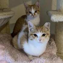 Thumbnail photo of Sylvie #3