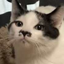 Thumbnail photo of Stash #1