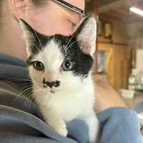 Thumbnail photo of Stash #2