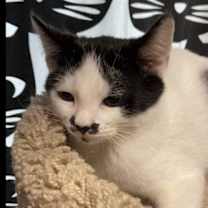 Thumbnail photo of Stash #3