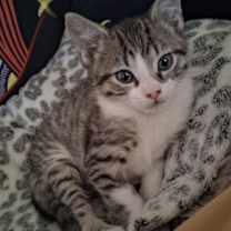 Thumbnail photo of Sam Poppin #1