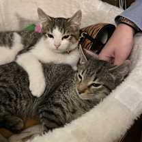 Thumbnail photo of Zeke the Freak #3