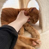 Thumbnail photo of Buddy #2