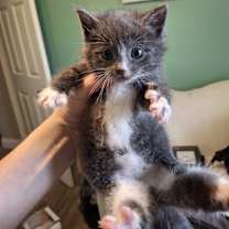 Thumbnail photo of Winnie Shipman #1