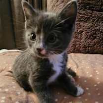 Thumbnail photo of Winnie Shipman #2