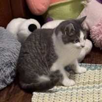 Thumbnail photo of June #4