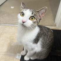 Thumbnail photo of Luna #1