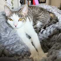 Thumbnail photo of Luna #3