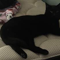 Thumbnail photo of Skipper #2