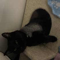 Thumbnail photo of Skipper #3