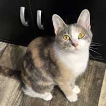 Thumbnail photo of Anika #1