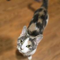 Thumbnail photo of Anika #2