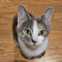 Thumbnail photo of Anika #3