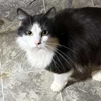 Thumbnail photo of Ethan #2