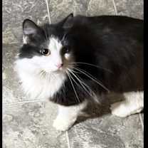 Thumbnail photo of Ethan #3