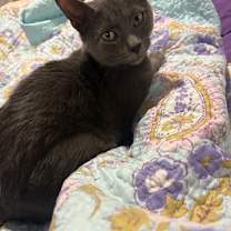 Thumbnail photo of Grace #1