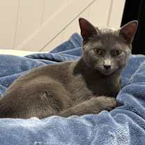 Thumbnail photo of Grace #2