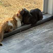 Thumbnail photo of Grace #3